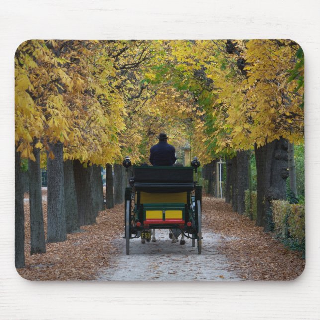 Mousepad Fiaker Em Schönbrunn, Wien Österreich (Frente)