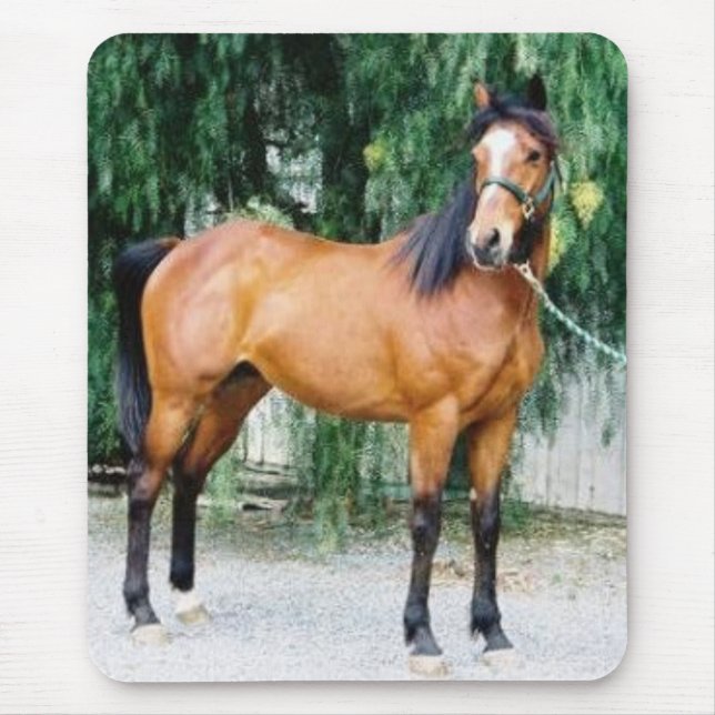 Mousepad Fibonacci (Frente)