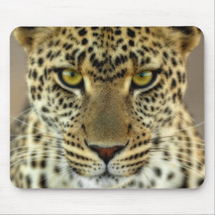 Mousepad Fierce Leopard