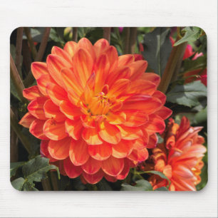 Mousepad Fiery Dahlia