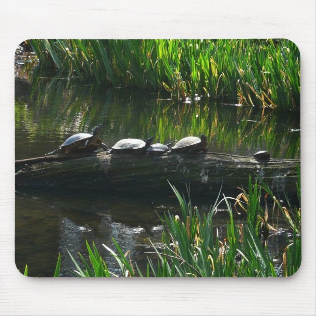 Mousepad Fileira de Tartarugas Foto Verde (Frente)
