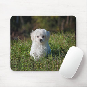Mousepad Filhote branco fofo