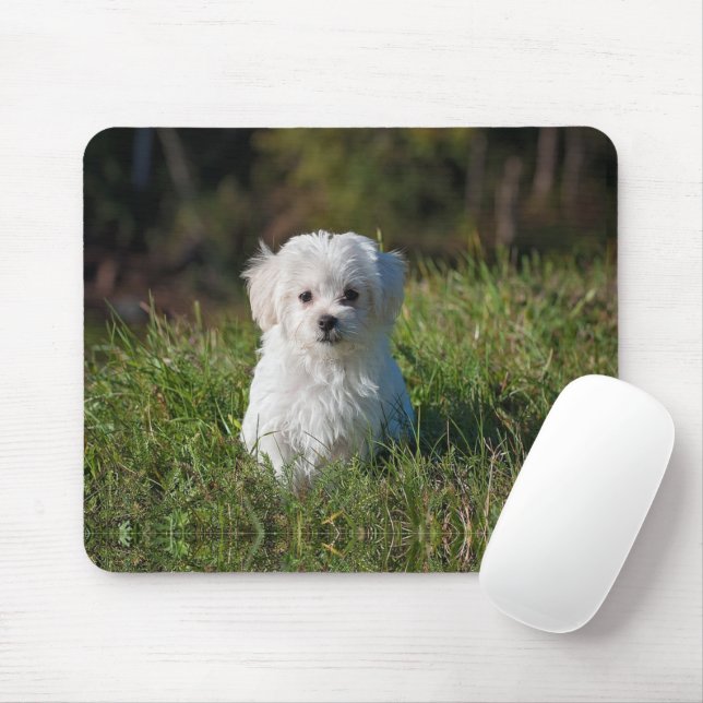 Mousepad Filhote branco fofo (Com mouse)