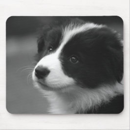 Mousepad Filhote de Border Collie