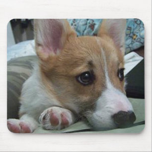 Mousepad filhote de cachorro 2 do corgi de galês do