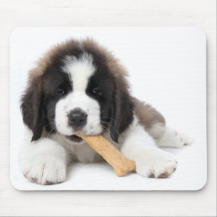 Mousepad Filhote de cachorro adorável de St Bernard que