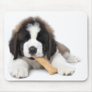 Mousepad Filhote de cachorro adorável de St Bernard que