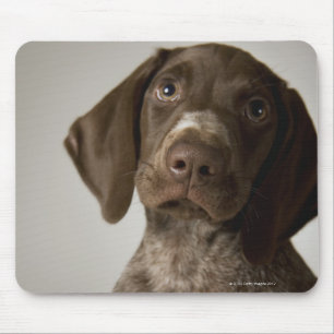 Mousepad Filhote de cachorro alemão do ponteiro de cabelos