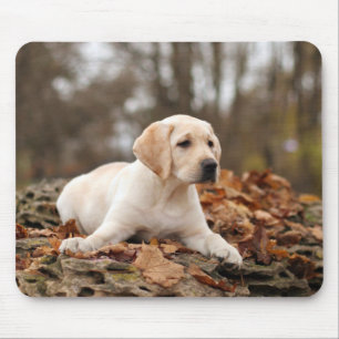 Mousepad Filhote de cachorro amarelo de Labrador no outono