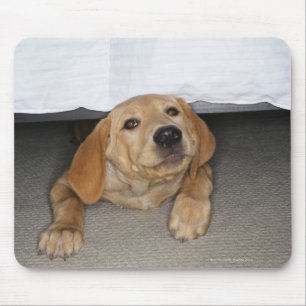Mousepad Filhote de cachorro amarelo do laboratório colado