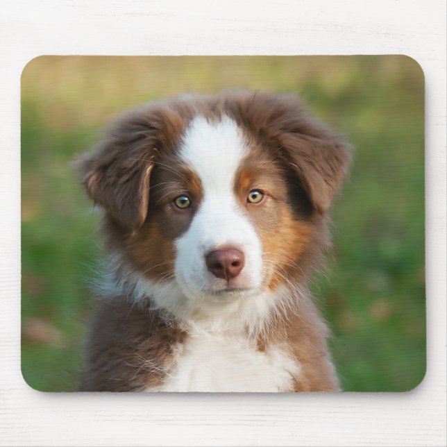 Mousepad Filhote de cachorro australiano bonito do pastor (Frente)
