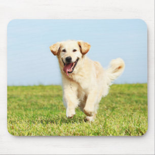 Mousepad Filhote de cachorro bonito do golden retriever que