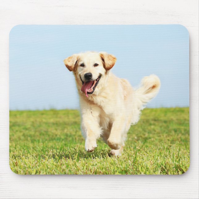 Mousepad Filhote de cachorro bonito do golden retriever que (Frente)