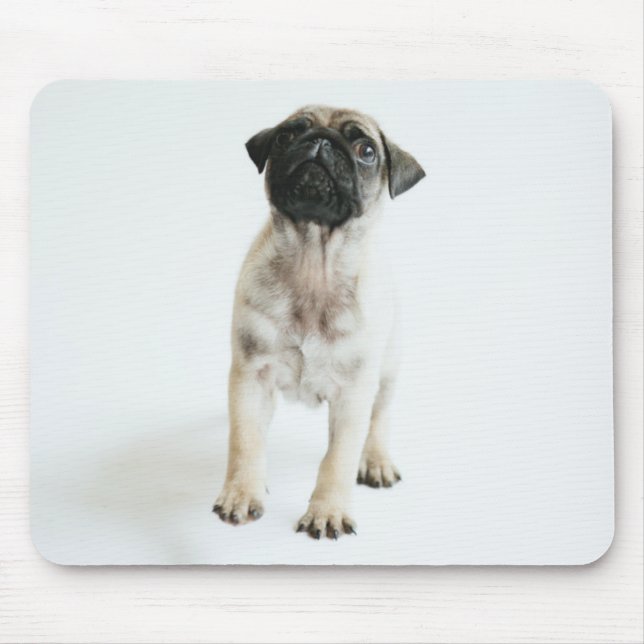 Mousepad Filhote de cachorro bonito do Pug (Frente)