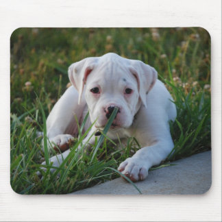 Mousepad Filhote de cachorro branco do pugilista
