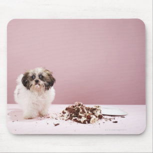 Mousepad Filhote de cachorro com o bolo no assoalho