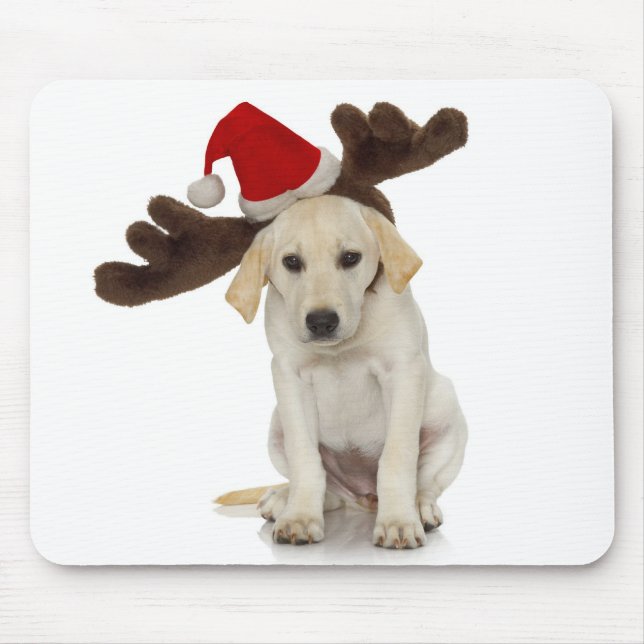 Mousepad Filhote de cachorro com papai noel chapéu e (Frente)