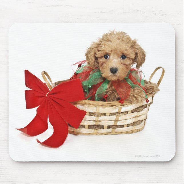 Mousepad Filhote de cachorro da caniche que senta-se na (Frente)