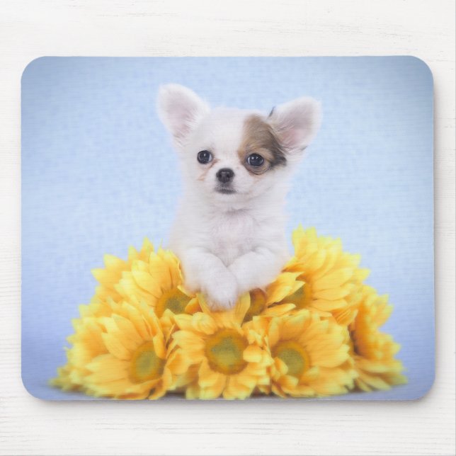 Mousepad Filhote de cachorro da chihuahua (Frente)