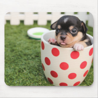 Mousepad Filhote de cachorro da chihuahua do Teacup