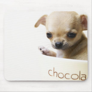 Mousepad Filhote de cachorro da chihuahua na bacia