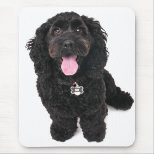 Mousepad filhote de cachorro da mistura da caniche do