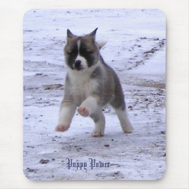 Mousepad Filhote de cachorro de Akita (Frente)