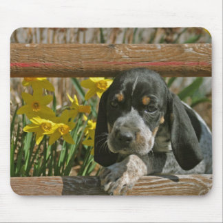Mousepad Filhote de cachorro de Bluetick