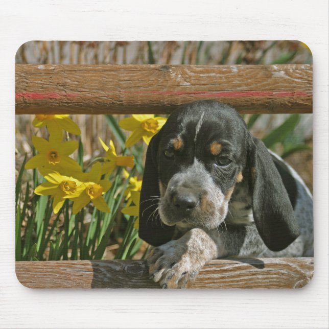 Mousepad Filhote de cachorro de Bluetick (Frente)