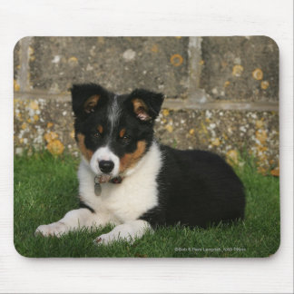 Mousepad Filhote de cachorro de border collie com a folha