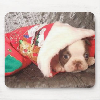 Mousepad Filhote de cachorro de Boston na meia do Natal