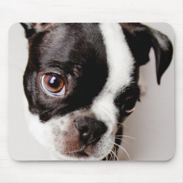 Mousepad Filhote de cachorro de Edison Boston Terrier (Frente)