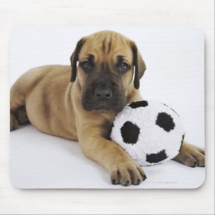 Mousepad Filhote de cachorro de great dane com a bola de