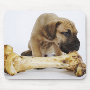 Mousepad Filhote de cachorro de great dane com o osso no
