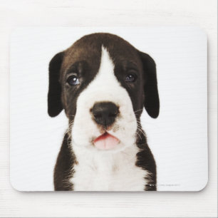 Mousepad Filhote de cachorro de great dane do Harlequin no