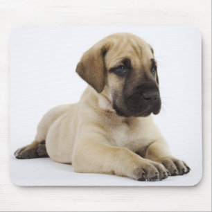 Mousepad Filhote de cachorro de great dane que encontra-se