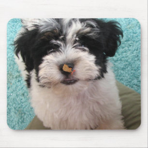 Mousepad Filhote de cachorro de Havanese