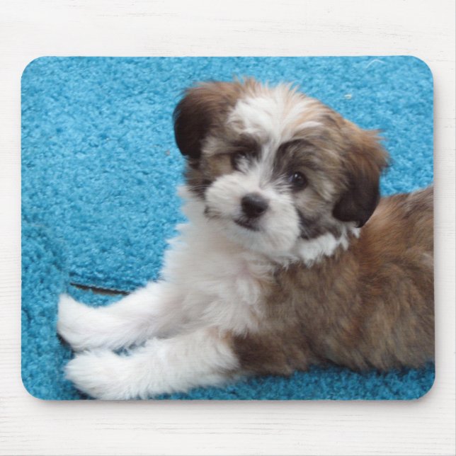 Mousepad Filhote de cachorro de Havanese (Frente)