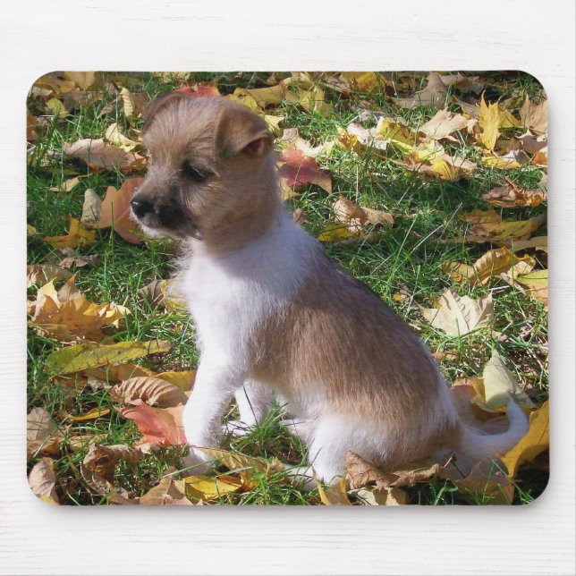Mousepad Filhote de cachorro de Jack Russell (Frente)