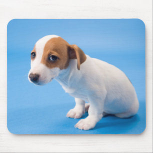 Mousepad Filhote de cachorro de Jack Russell