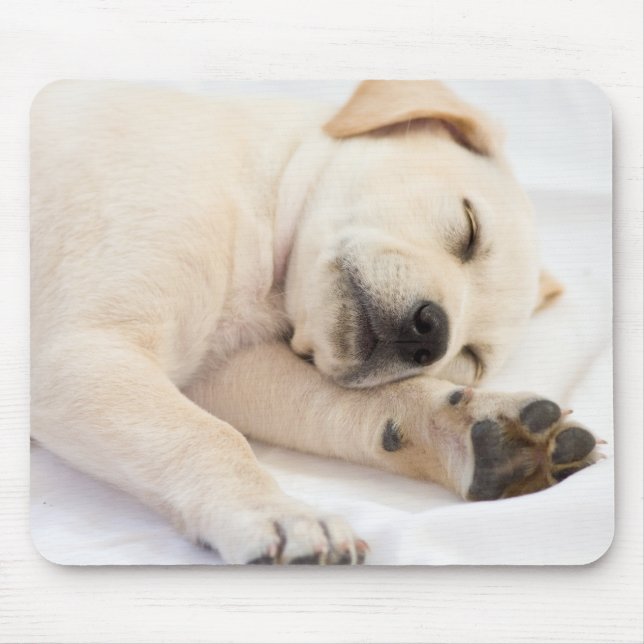 Mousepad Filhote de cachorro de Labrador (Frente)
