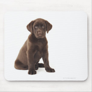 Mousepad Filhote de cachorro de labrador retriever do