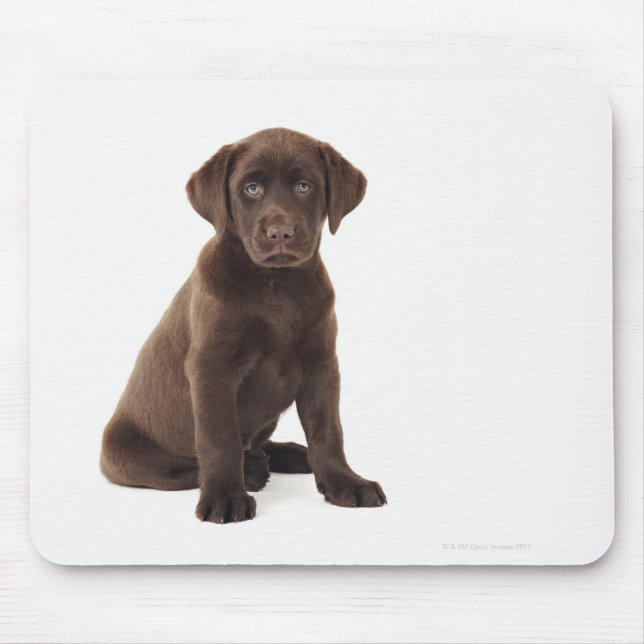 Mousepad Filhote de cachorro de labrador retriever do (Frente)