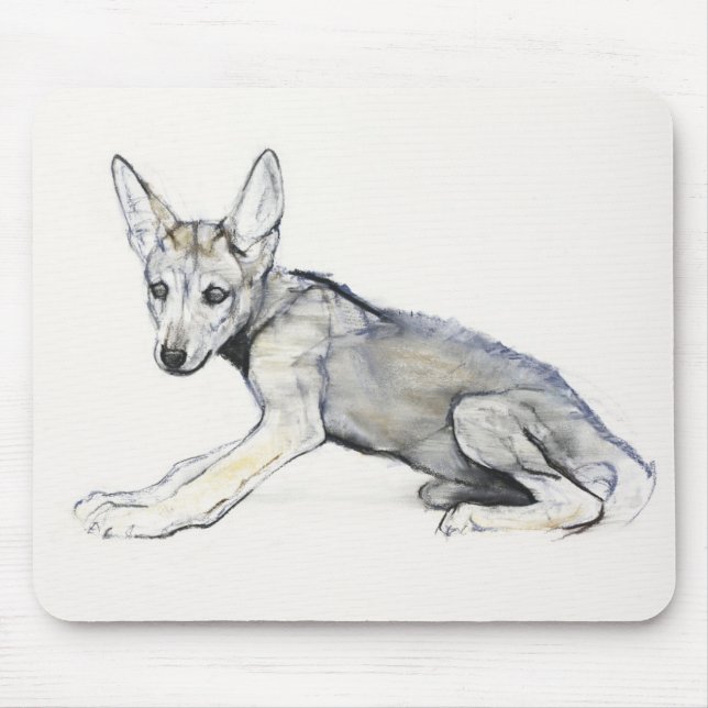 Mousepad Filhote de cachorro de lobo árabe adolescente 2009 (Frente)
