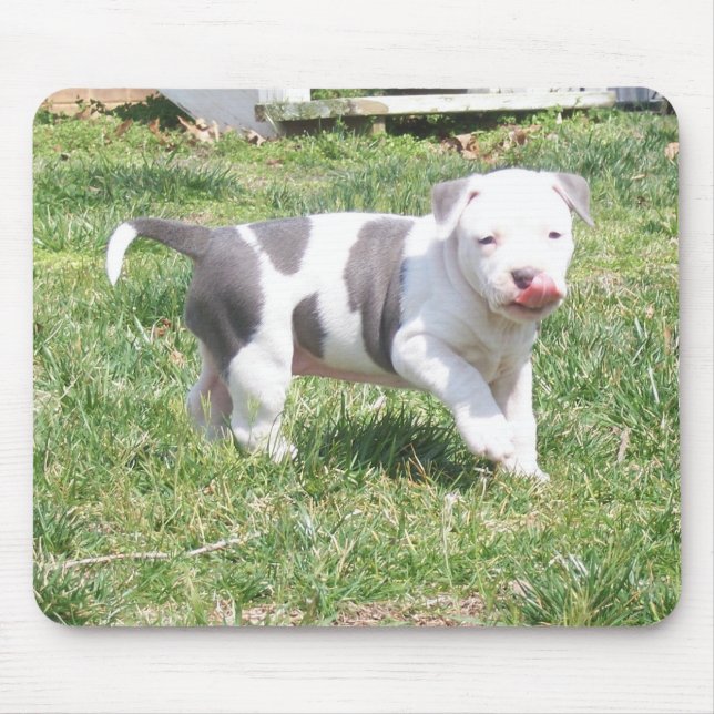 MOUSEPAD FILHOTE DE CACHORRO DE PITBULL (Frente)
