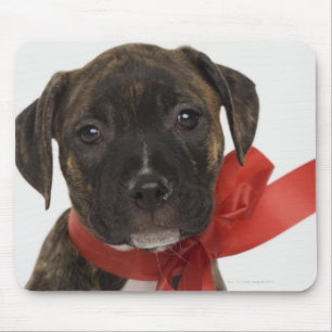 Mousepad Filhote de cachorro de Pitbull que veste a fita