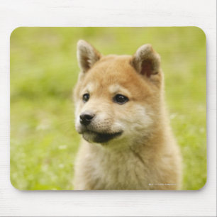 Mousepad filhote de cachorro de Shiba-ken