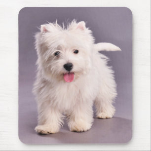 Mousepad Filhote de cachorro de Westie