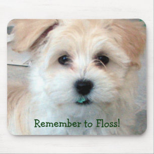 Mousepad Filhote de cachorro dental da higiene - recorde