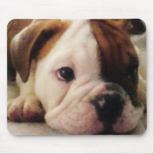 Mousepad Filhote de cachorro do buldogue